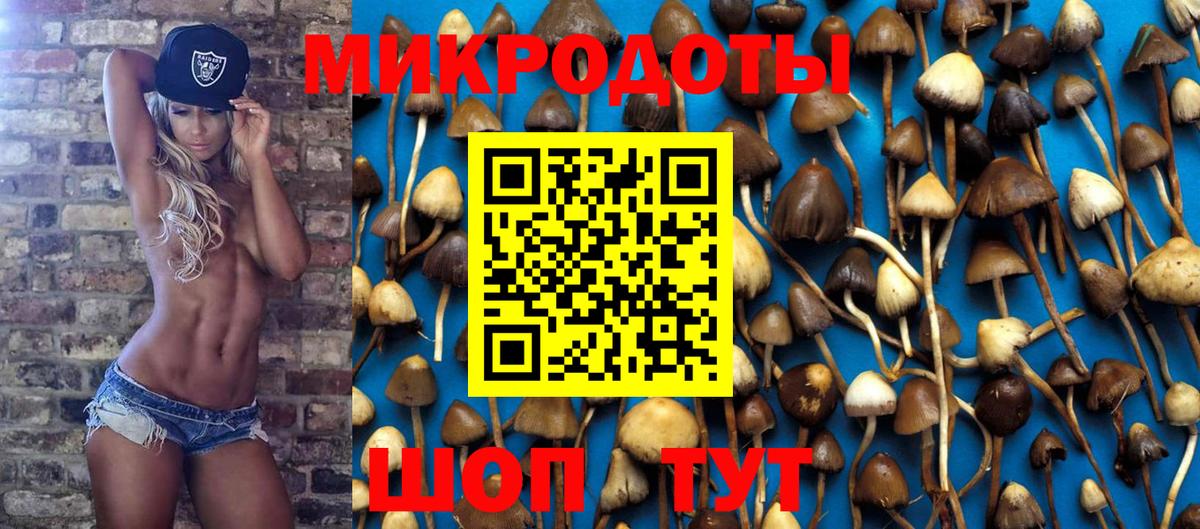 Галлюциногенные грибы мухоморы Ленинск-Кузнецкий